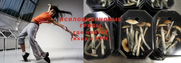 мескалин Лабытнанги