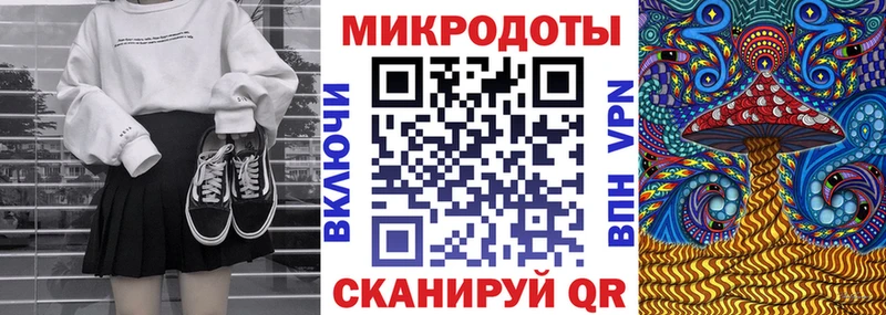 Купить закладки  Унеча  Псилоцибиновые грибы Cubensis 